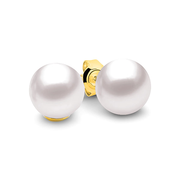 Claire Studs in Yellow Gold with White Round Freshwater Pearl Studs