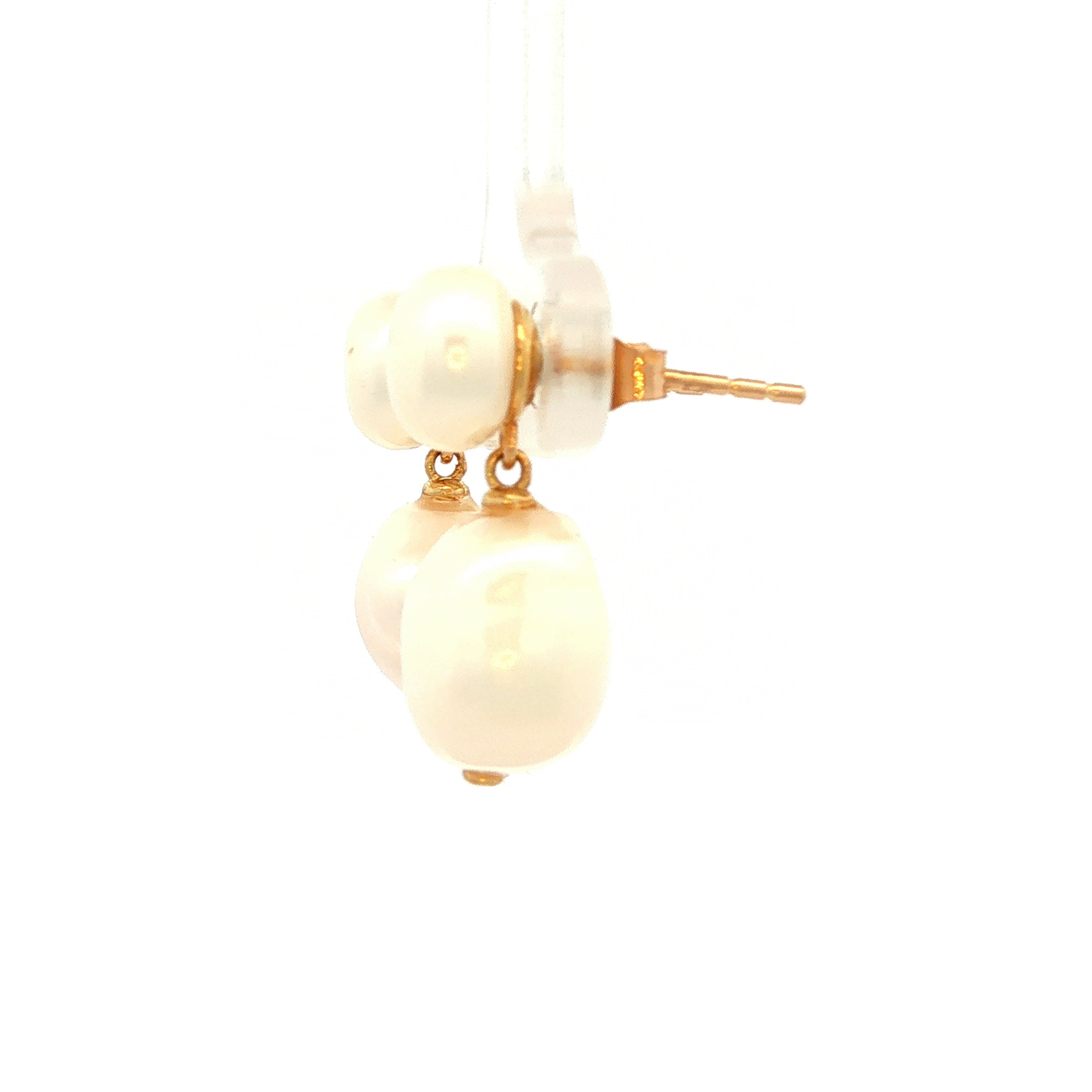 Maxine Stud Earrings in Yellow Gold