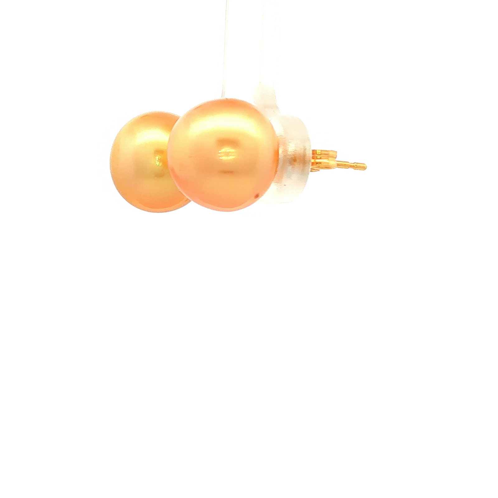 Golden South Sea Pearl Earrings in Yellow Gold