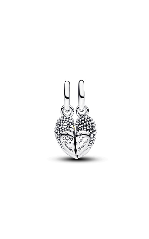 Pandora Love Birds Splittable Dangle Charm