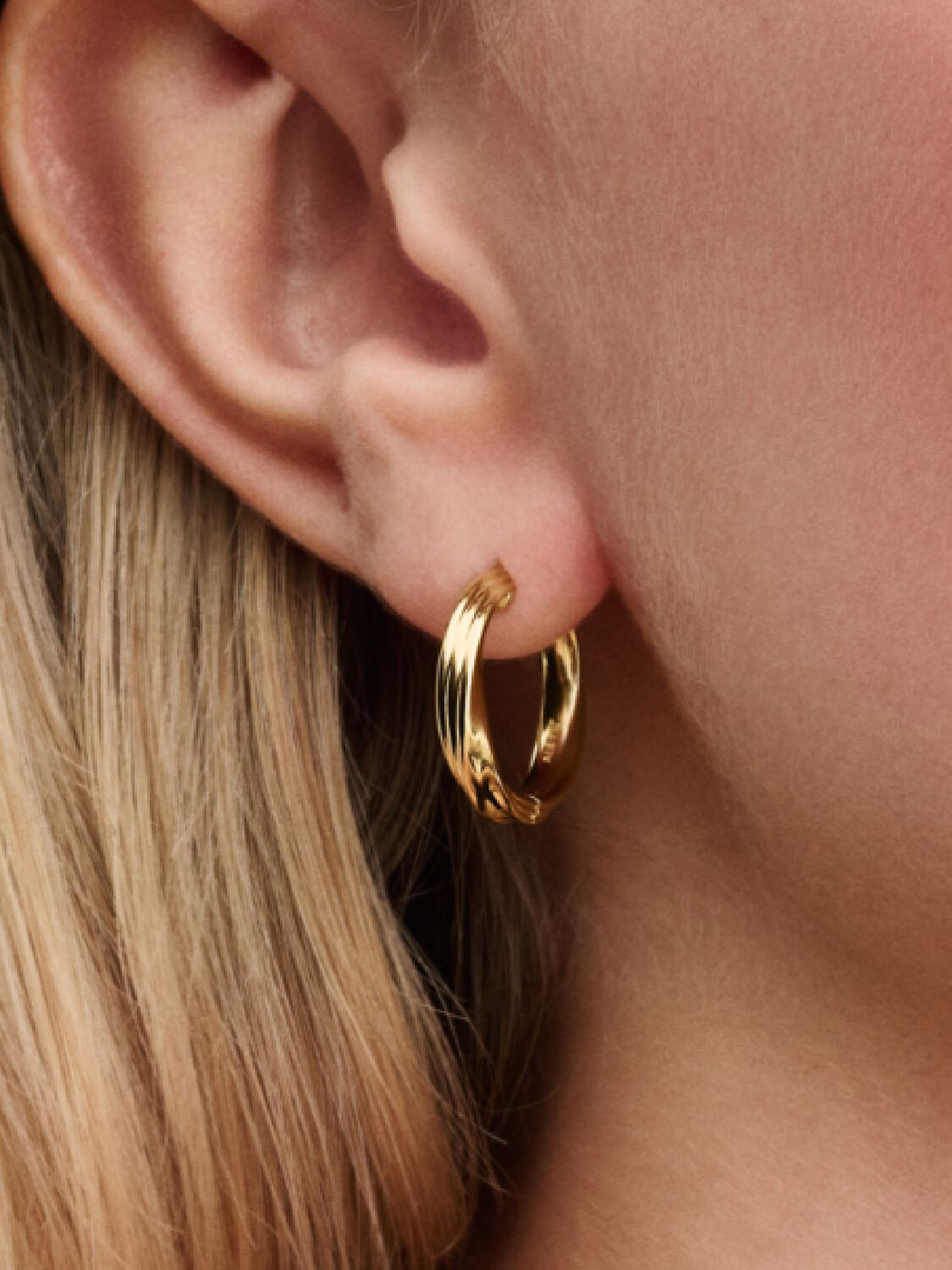 Pandora Earrings Rims Wrap Line