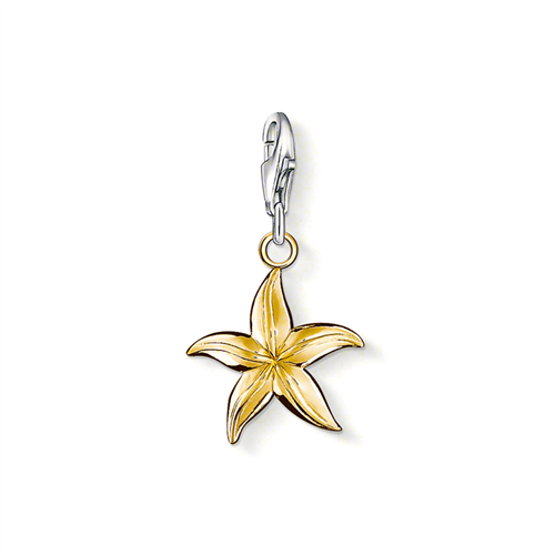 Thomas Sabo Gold Plated Starfish Charm