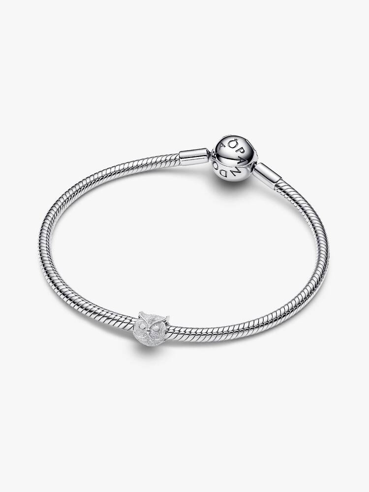 Pandora Textured Owl Mini Charm