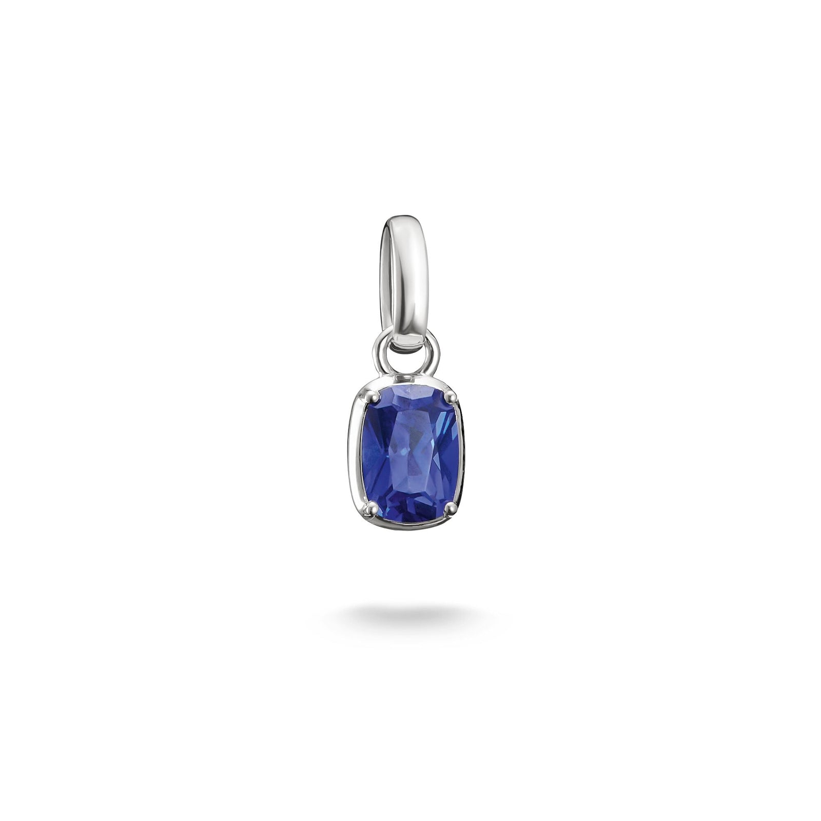 THOMAS SABO Connect Charm Birthstone September