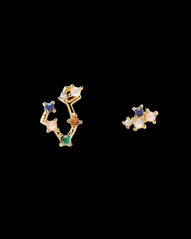 PD Paola Zodiac Earrings