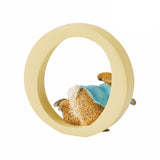 Beatrix Potter Letter O - Peter Rabbit