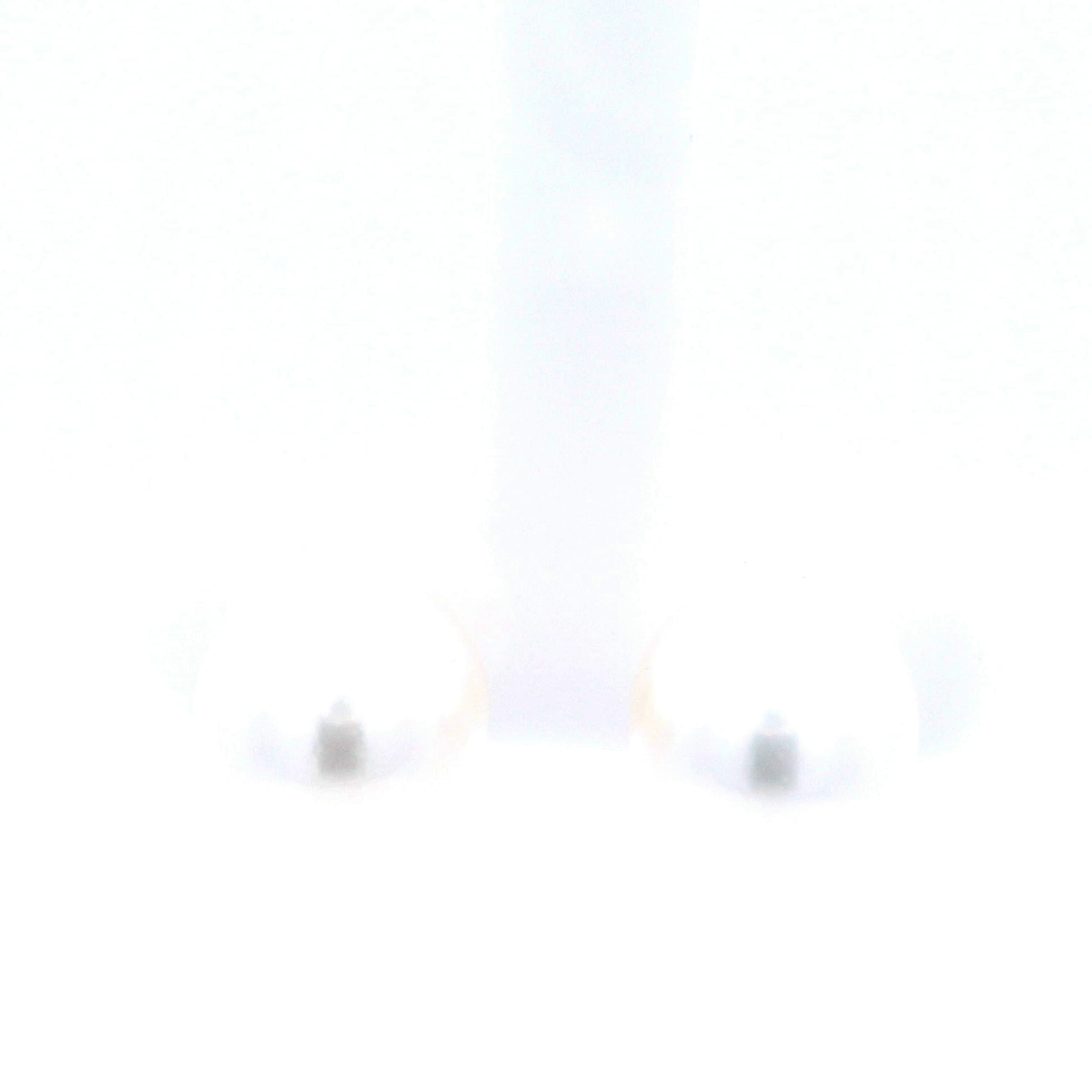 South Sea Pearl Stud Earrings in Yellow Gold