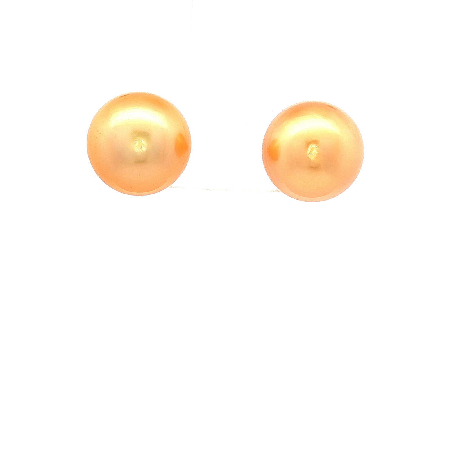 Golden South Sea Pearl Earrings in Yellow Gold