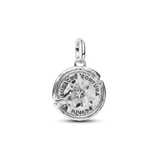 Pandora Dolphin Medallion Charm