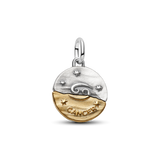 Pandora Cancer Zodiac Medallion Charm