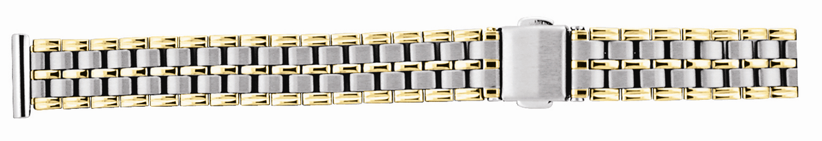 Ladies 2-Tone Watchband