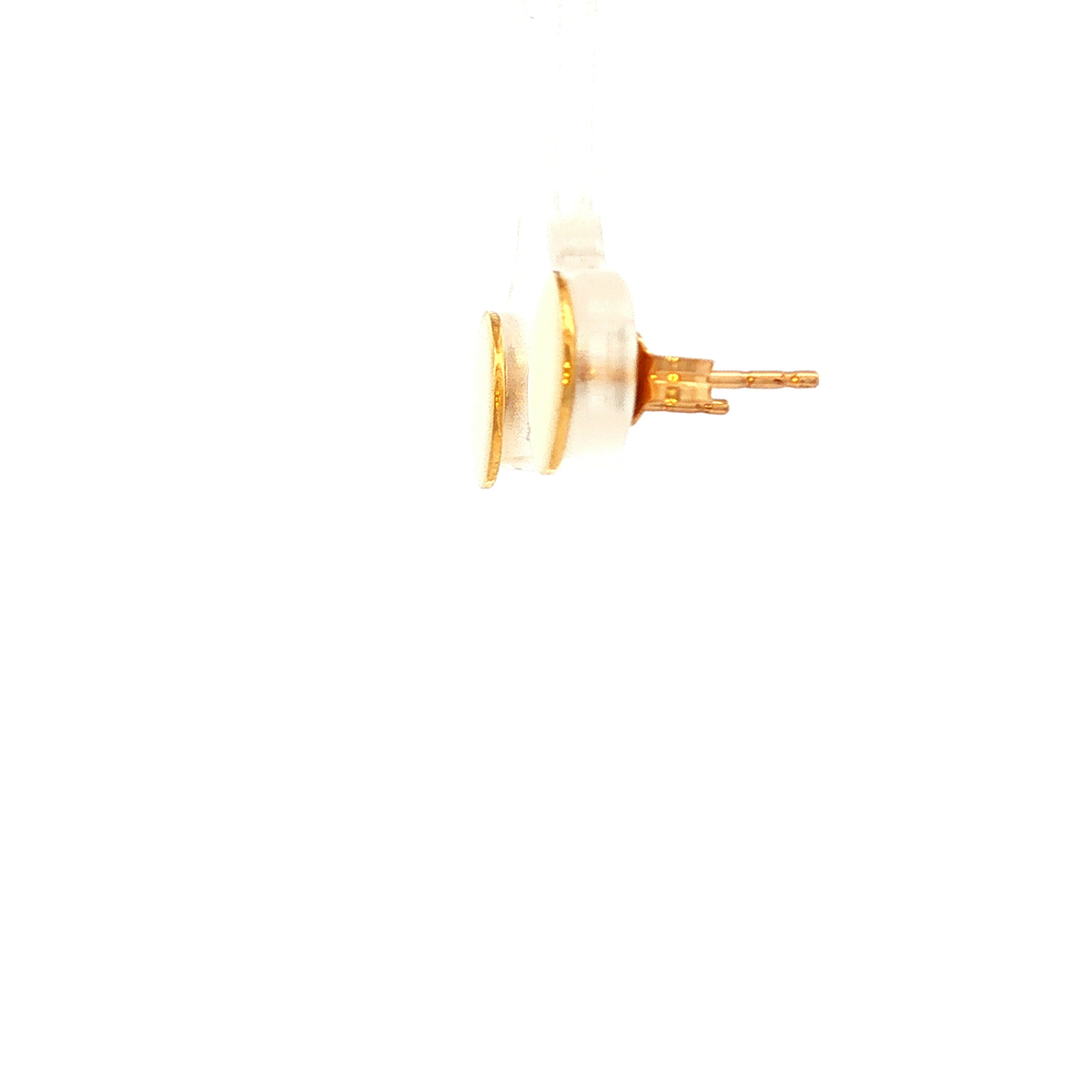 Disc Shiny Stud Earrings in Yellow Gold
