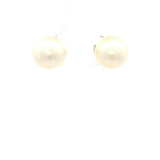Broome South Sea Stud Earrings in Yellow Gold