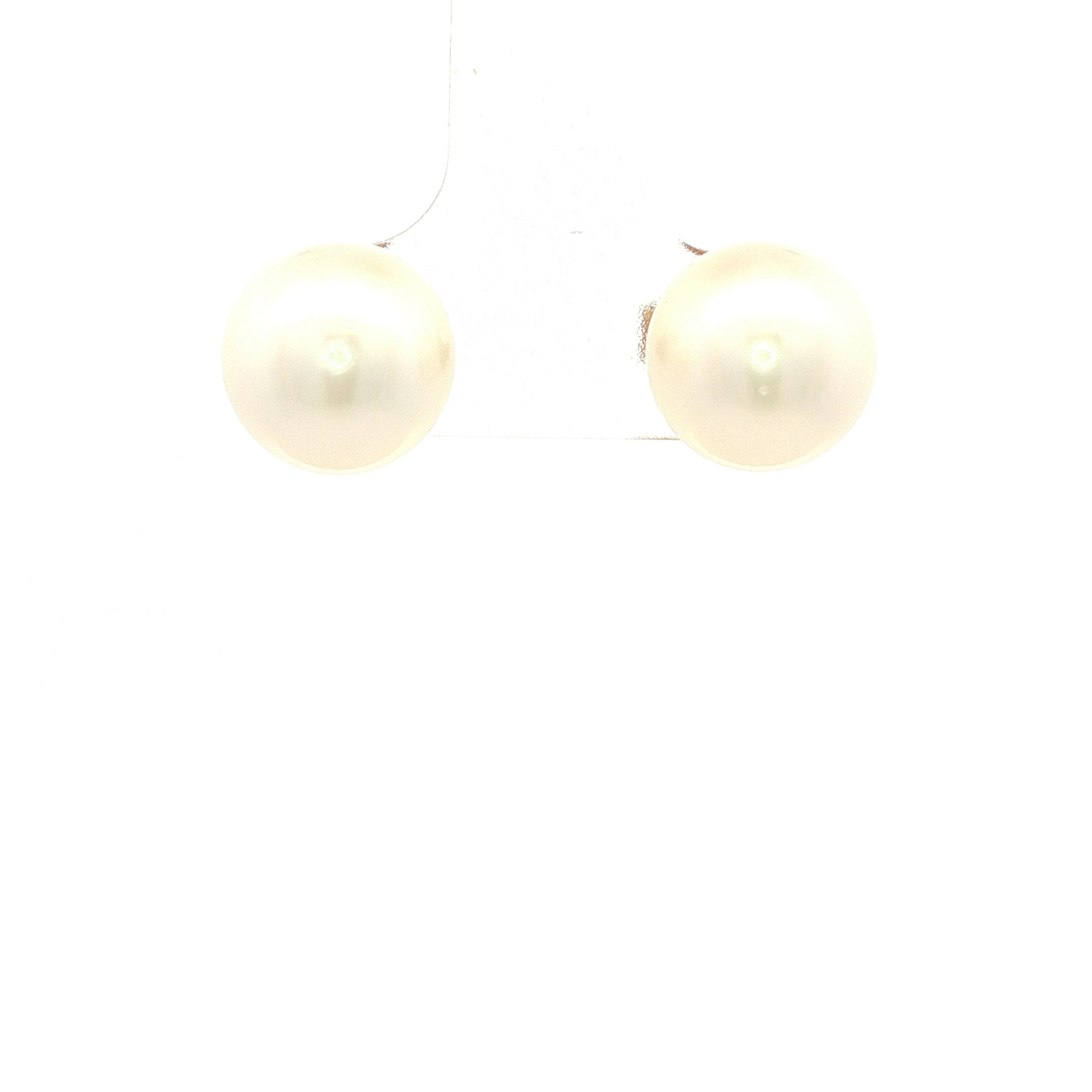 Broome South Sea Stud Earrings in Yellow Gold