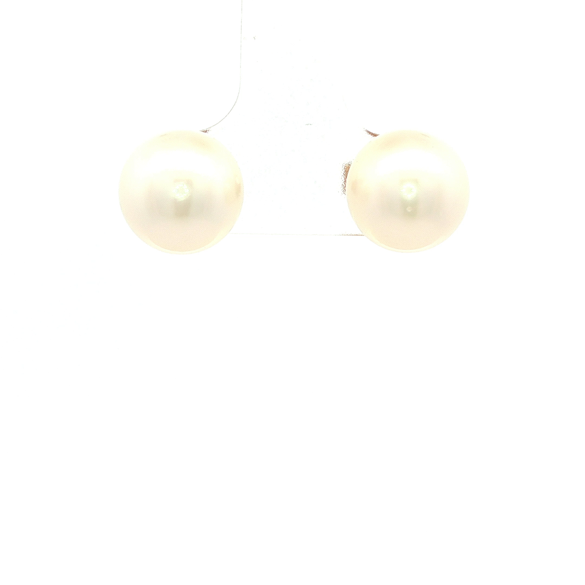 Broome South Sea Stud Earrings in Yellow Gold