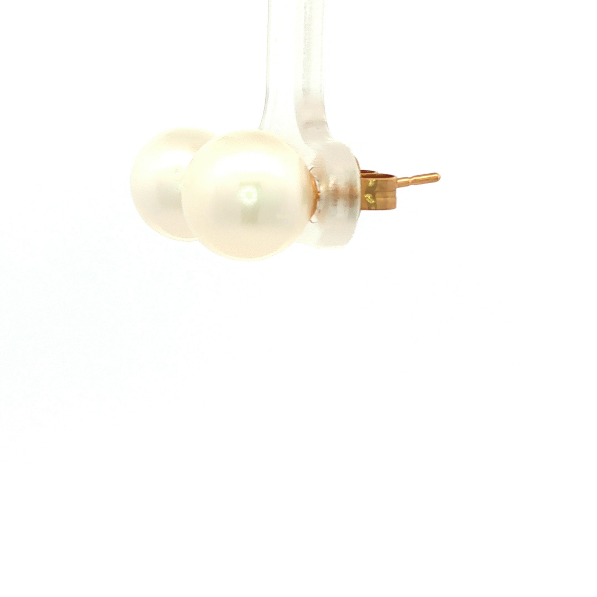 Broome South Sea Stud Earrings in Yellow Gold