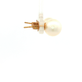 Broome South Sea Stud Earrings in Yellow Gold