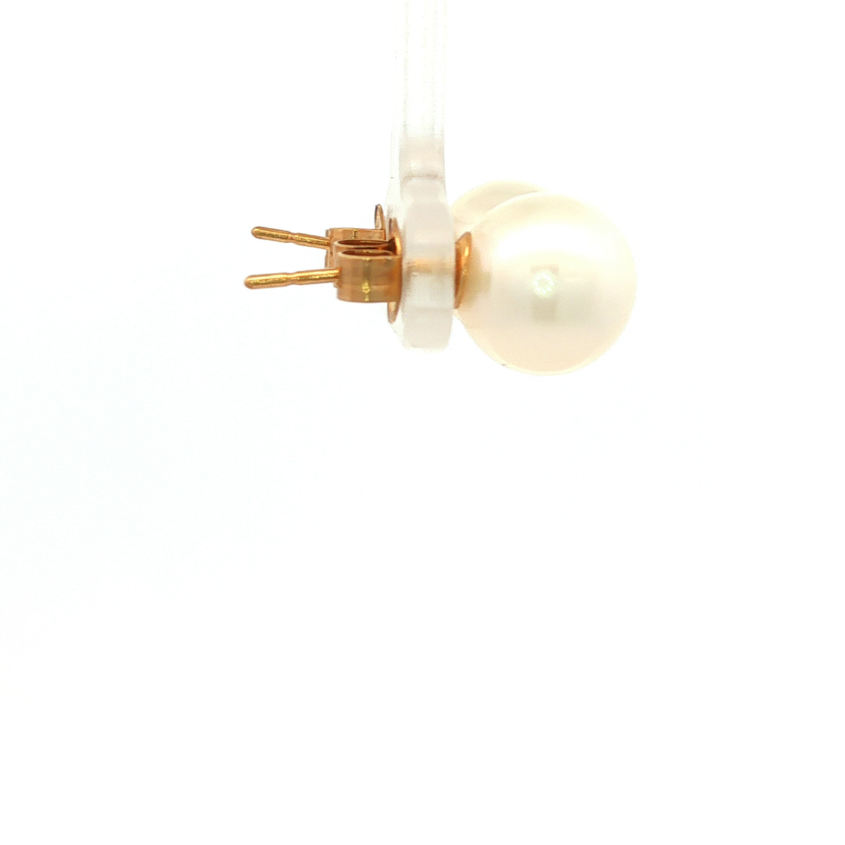 Broome South Sea Stud Earrings in Yellow Gold