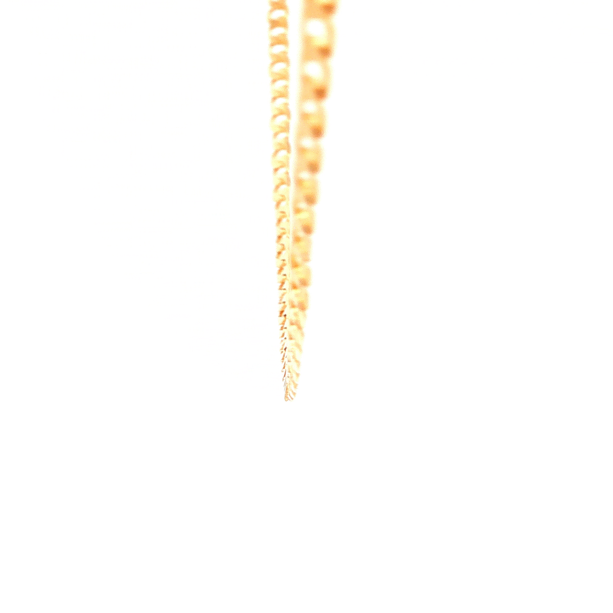 Grunmetta Rada Superlight Open Curb Necklace