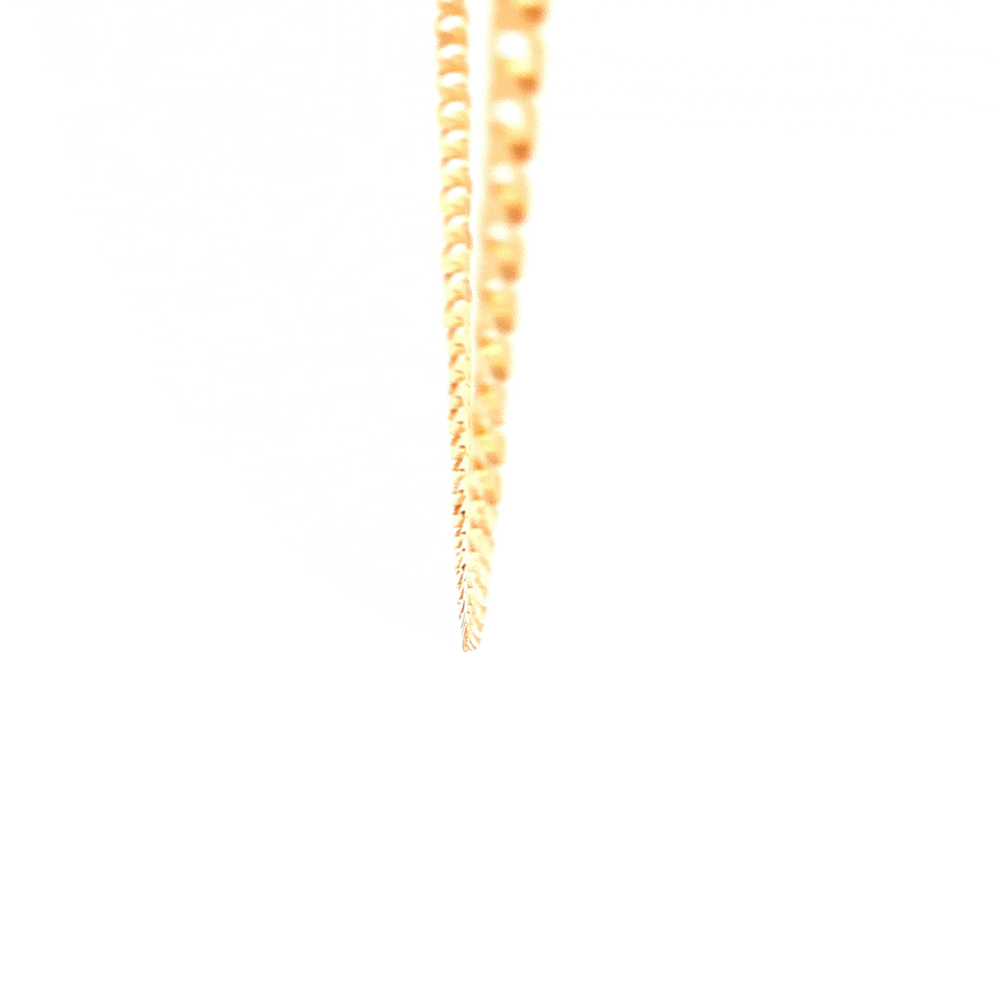 Grunmetta Rada Superlight Open Curb Necklace