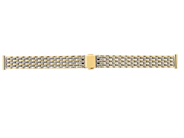 Ladies 2-Tone Watchband