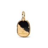 Pandora Owl Medallion Charm
