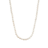 Sterling Silver Rice Pearl Short Necklace
