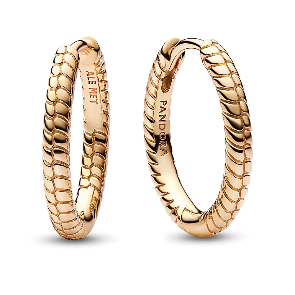 Pandora Moments Small Charm Hoop Earrings