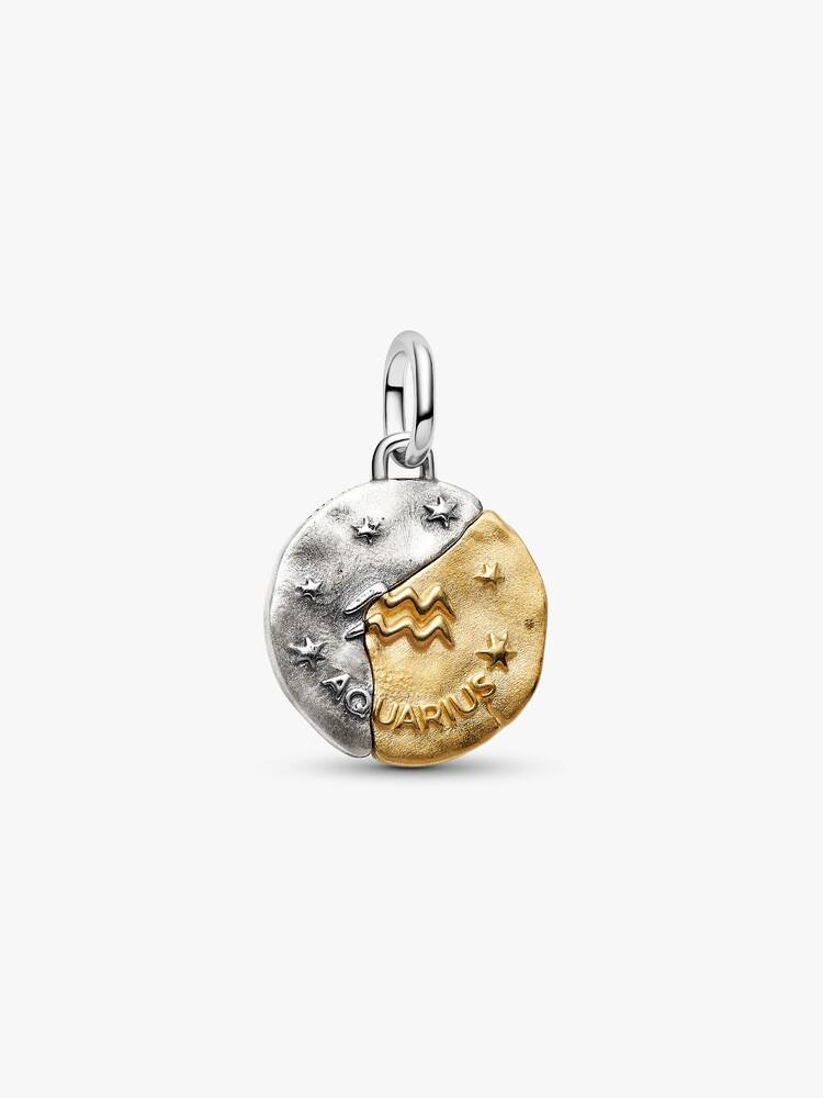 Pandora Aquarius Zodiac Medallion Charm