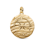 Pandora Pisces Zodiac Oversized Medallion Charm