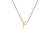 9ct Petite Initial Necklace