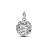 Pandora Dolphin Medallion Charm