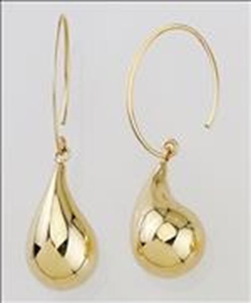 Pear Shape Frop on Hook Earring