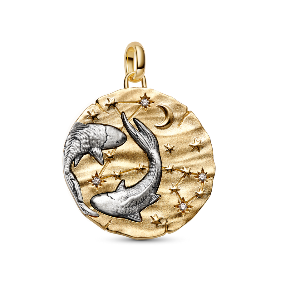 Pandora Pisces Zodiac Oversized Medallion Charm