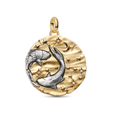 Pandora Pisces Zodiac Oversized Medallion Charm
