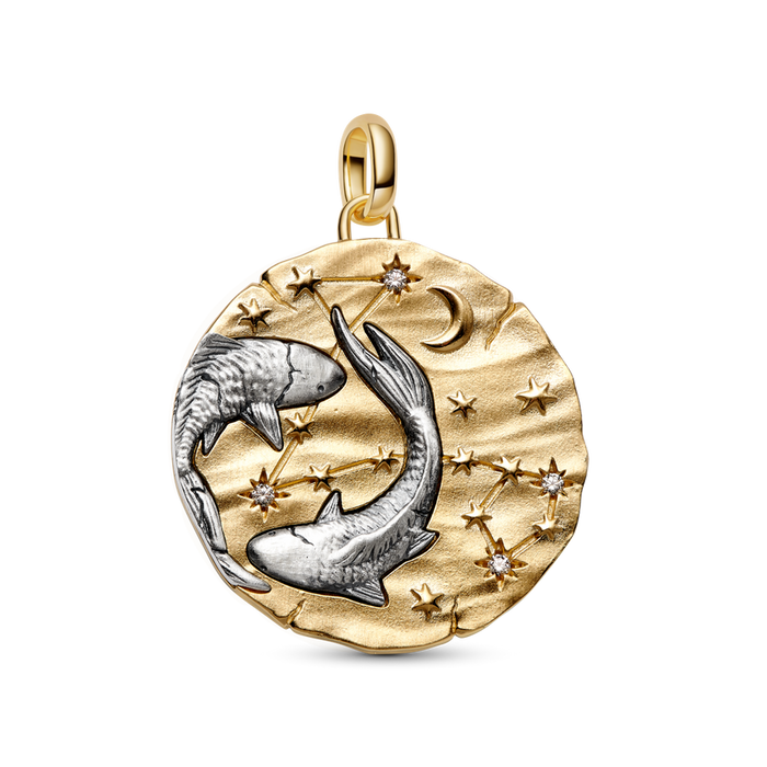 Pandora Pisces Zodiac Oversized Medallion Charm