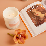 Palm Beach Collection White Rose and Jasmine Standard Candle. 420 grams.