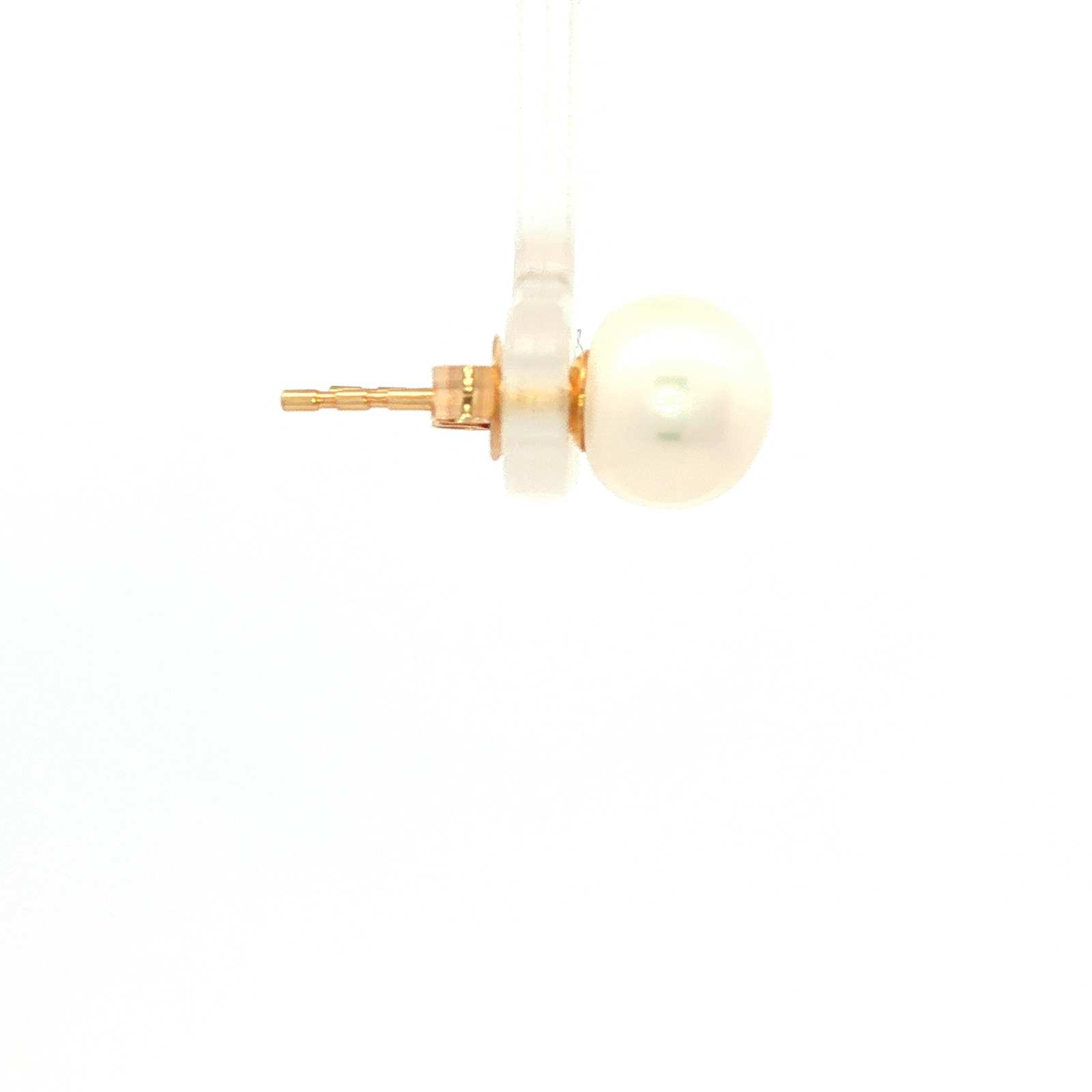 White Round Freshwater Pearl 8mm Earrings in Yellow Gold