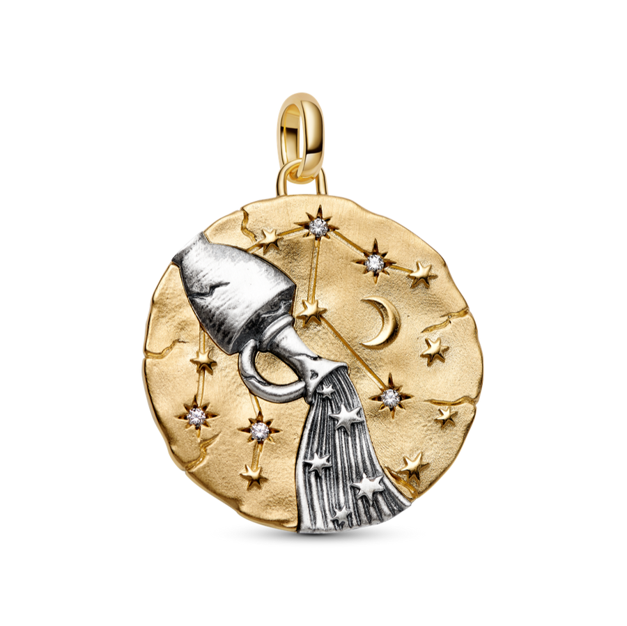 Pandora Aquarius Zodiac Oversized Medallion Charm