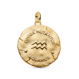 Pandora Aquarius Zodiac Oversized Medallion Charm
