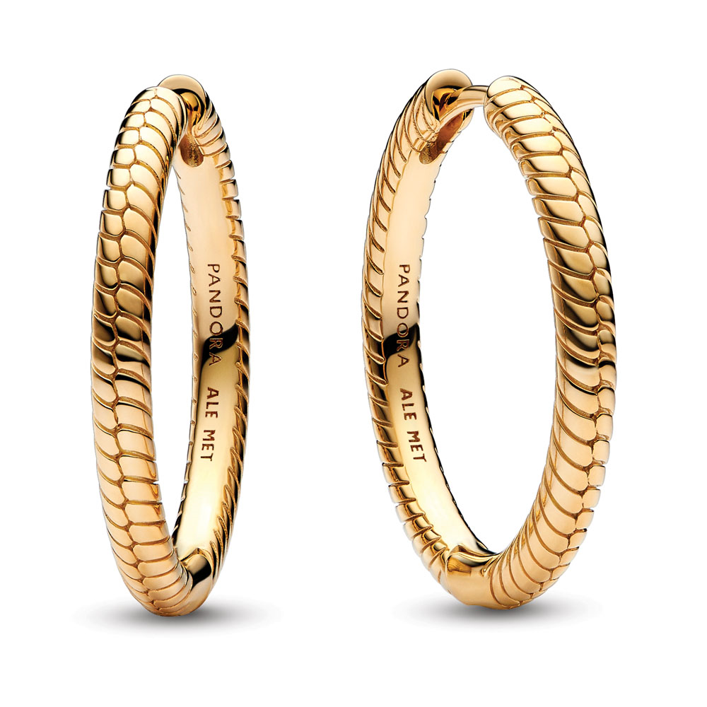 Pandora Moments Charm Hoop Earrings