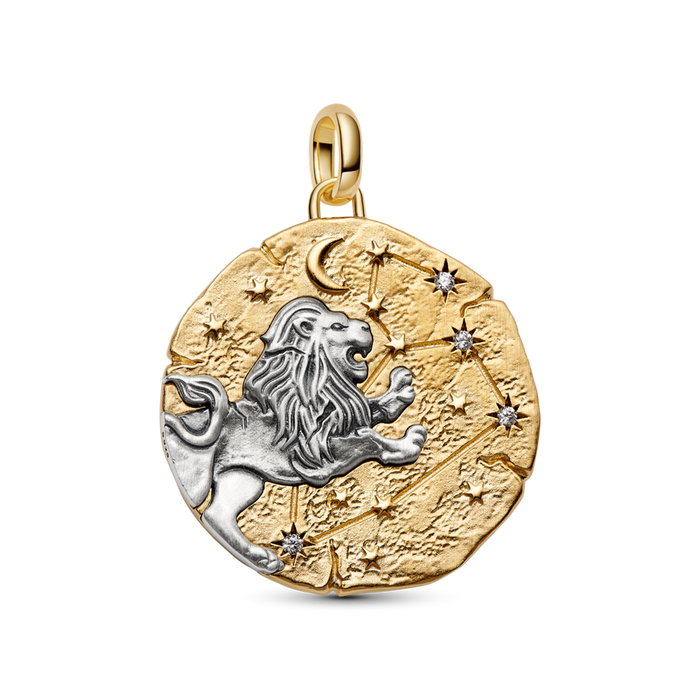 Pandora Leo Zodiac Oversized Medallion Charm