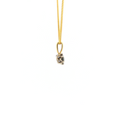 Black Diamond Necklace in Yellow Gold