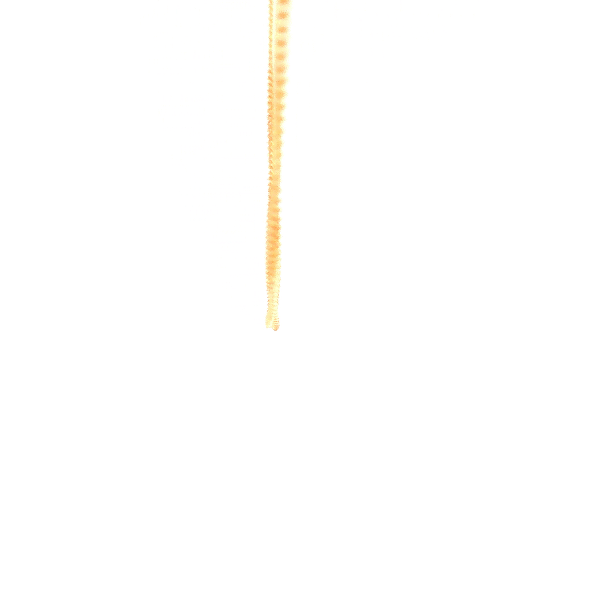 2 Sided Grumetta Necklace in Yellow Gold