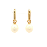 Blakely Pearl Drop Earrings in Yellow Gold
