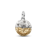 Pandora Capricorn Zodiac Medallion Charm