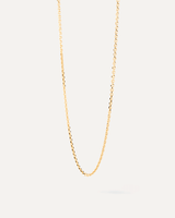 PDPaola Essential Chain Necklace