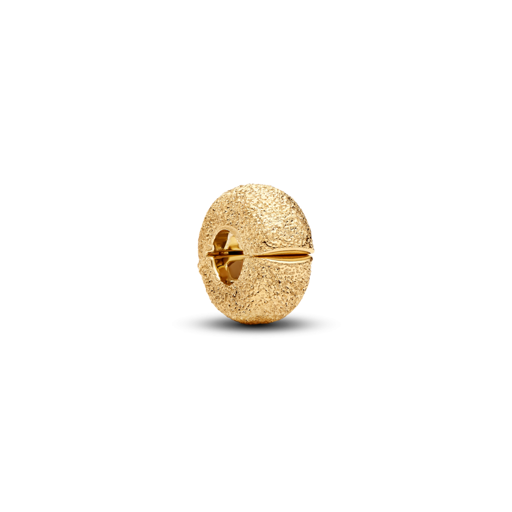 Pandora Textured Mini Clip Charm