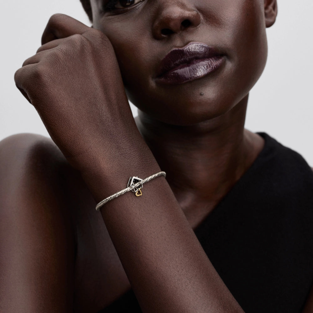 Pandora Home & Heart Charm