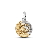Pandora Pisces Zodiac Medallion Charm